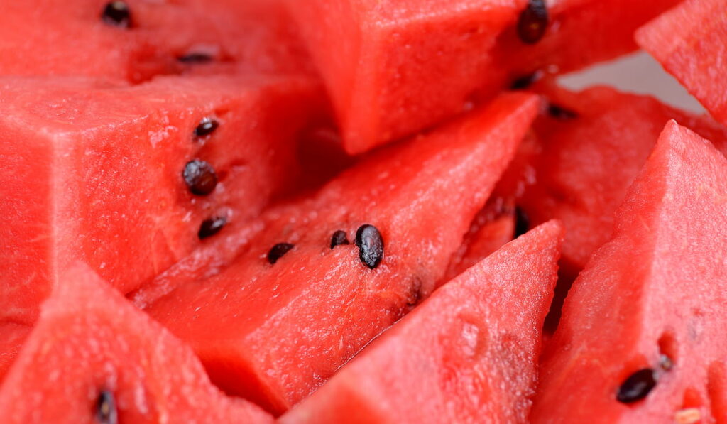 Slices of watermelon