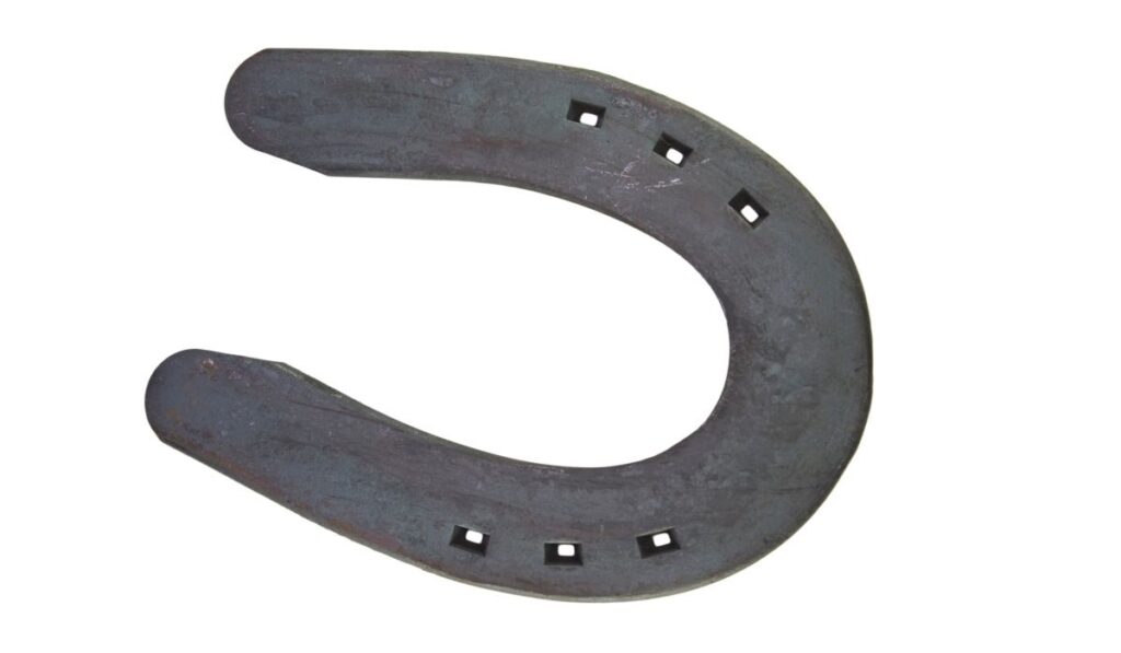 sliding plate shoes