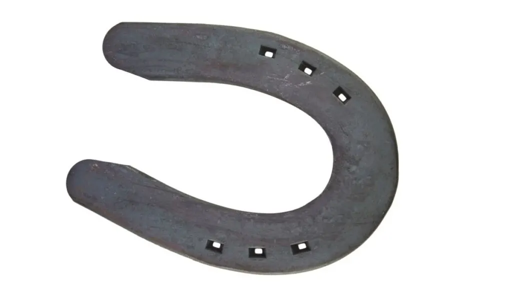 sliding plate shoes