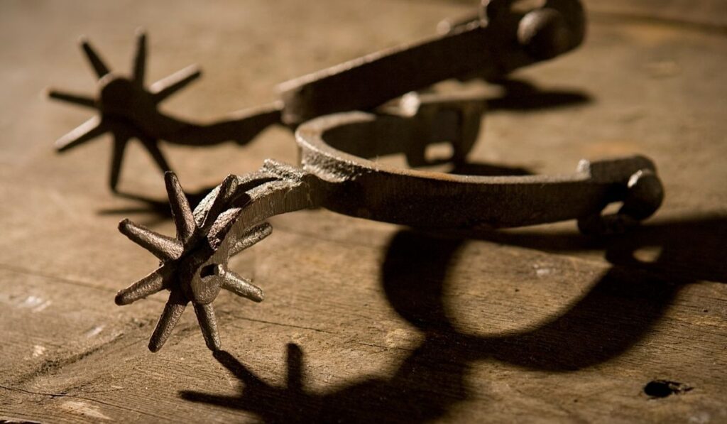 Spurs on wooden ground