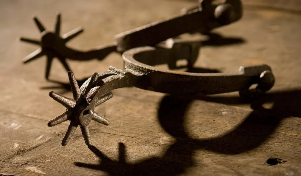 Types of Spurs and Their Uses Helpful Horse Hints Types of Spurs and Their Uses Helpful Horse Hints