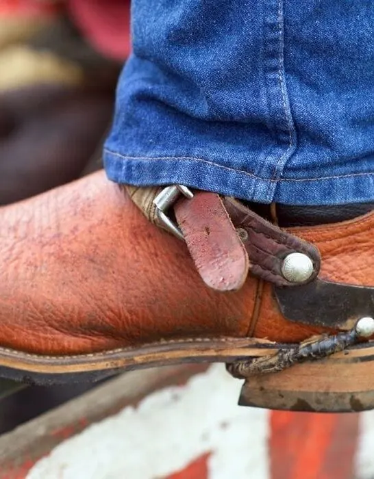 Buyers Guides Archives Page 2 of 5 Helpful Horse Hints