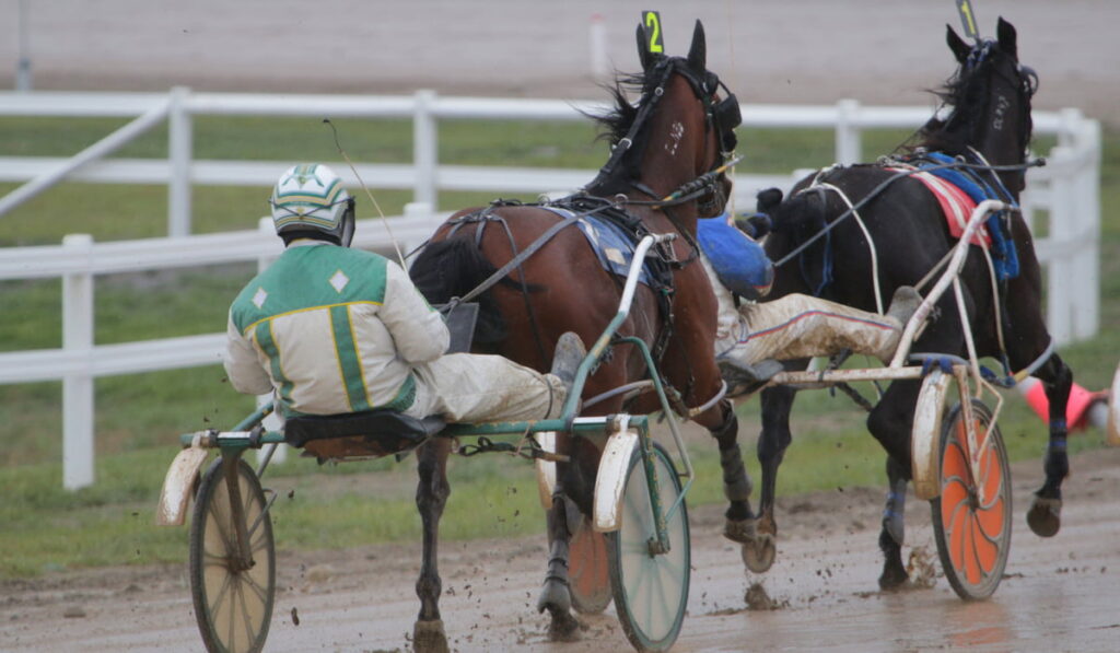 Standardbred horses racing 