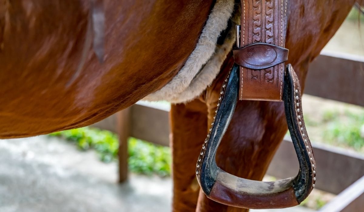 closeup shot of a horse Stirrup Leathers and Irons