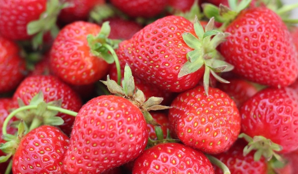 Strawberries
