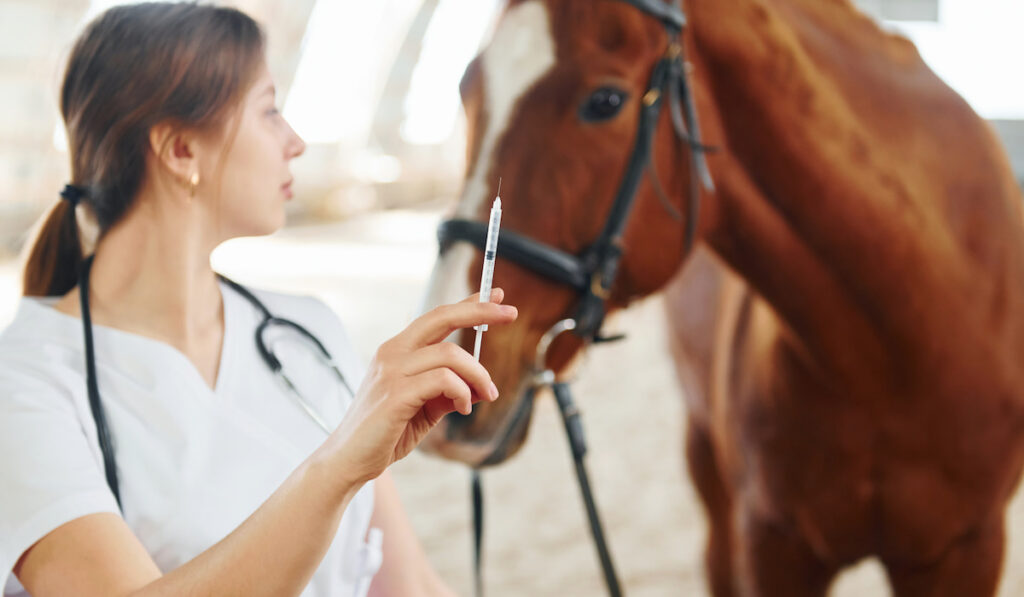 Syringe with vaccine in hand held by a vet and a horse in stable