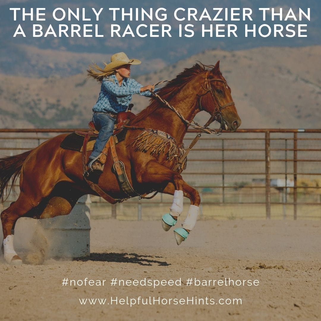 Getting Started with Barrel Racing Helpful Horse Hints
