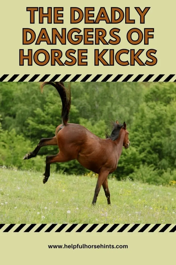 Pinterest pin - The Deadly Dangers of Horse Kicks