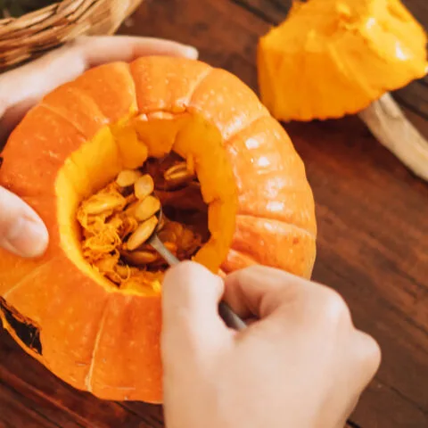 Halloween Horse Mash