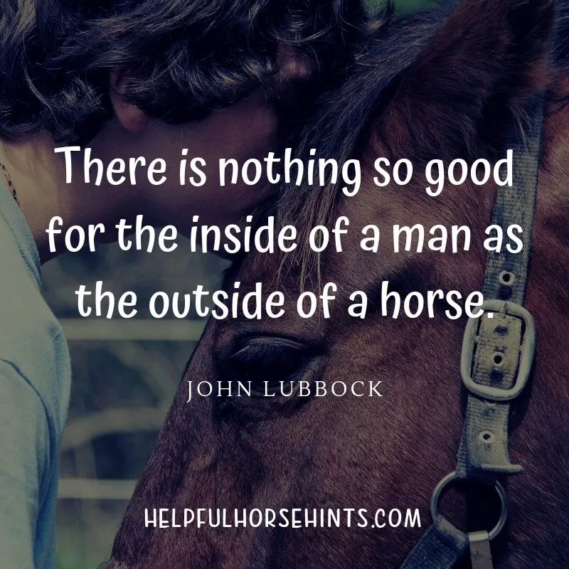 Horse Quote says "There is nothing so good for the inside of a man as the outside of a horse" by John Lubbock