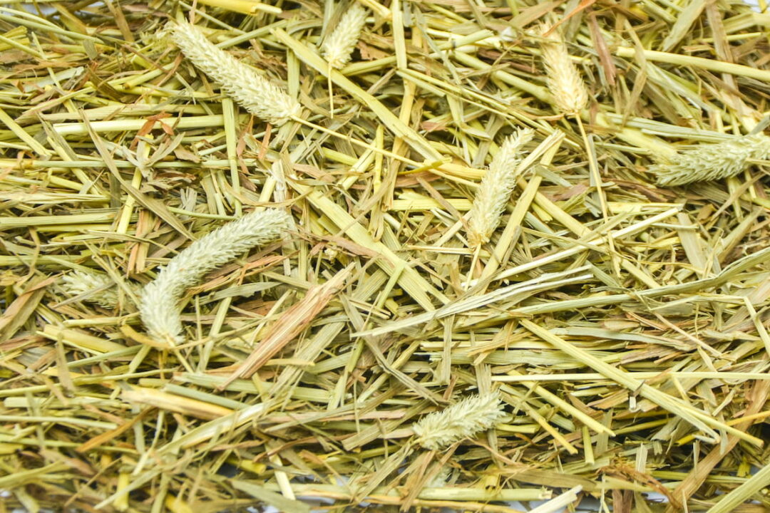 15 Types of Horse Hay Helpful Horse Hints