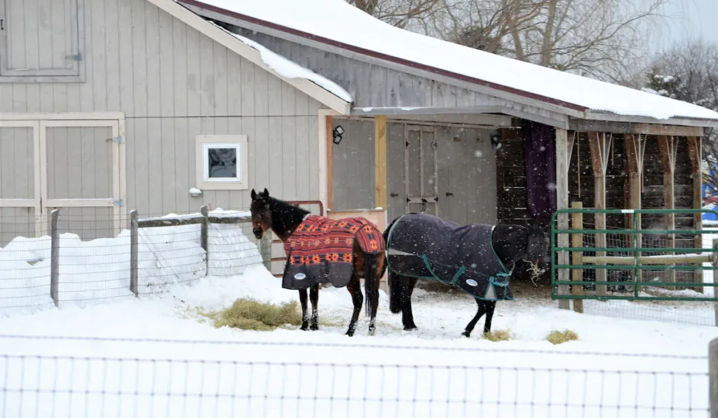 Two horses wearing blankets to protect from cold weather on the farm