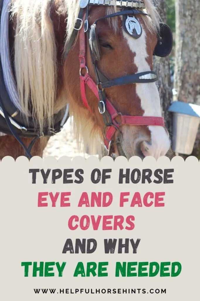 Pinterest pin - Types of Horse Eye and Face Covers