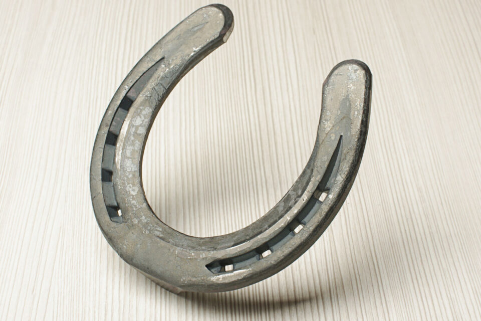 Types of Horseshoes Helpful Horse Hints