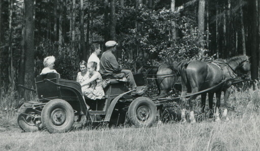 Vintage photo of family traveling in horse-drawn carriage (sixties)