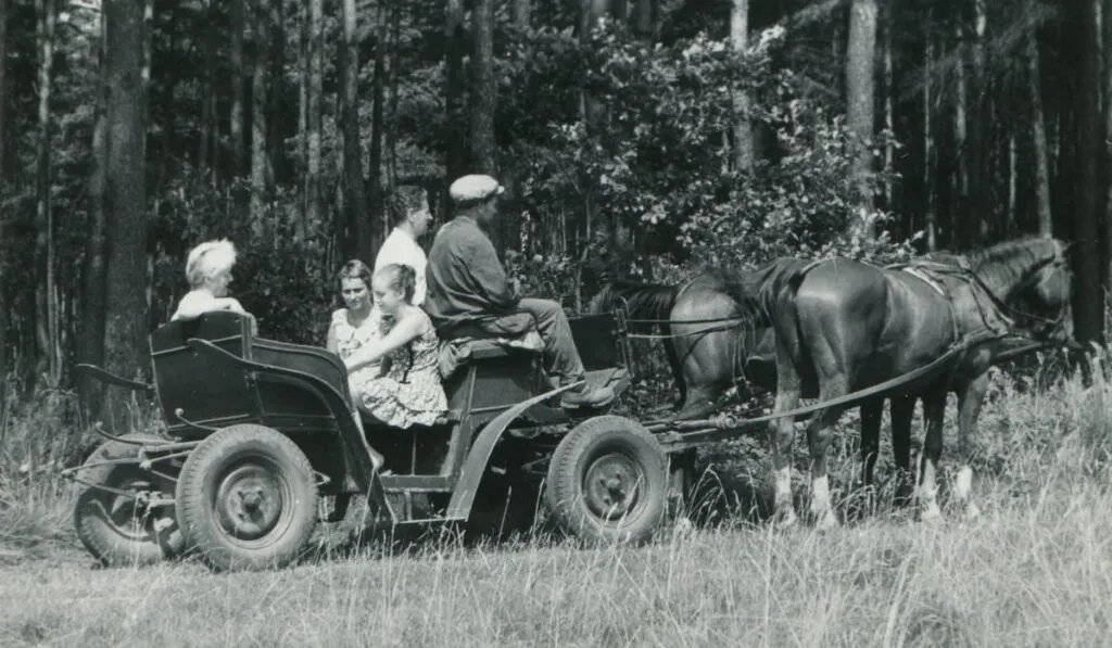 Vintage photo of family traveling in horse-drawn carriage (sixties)