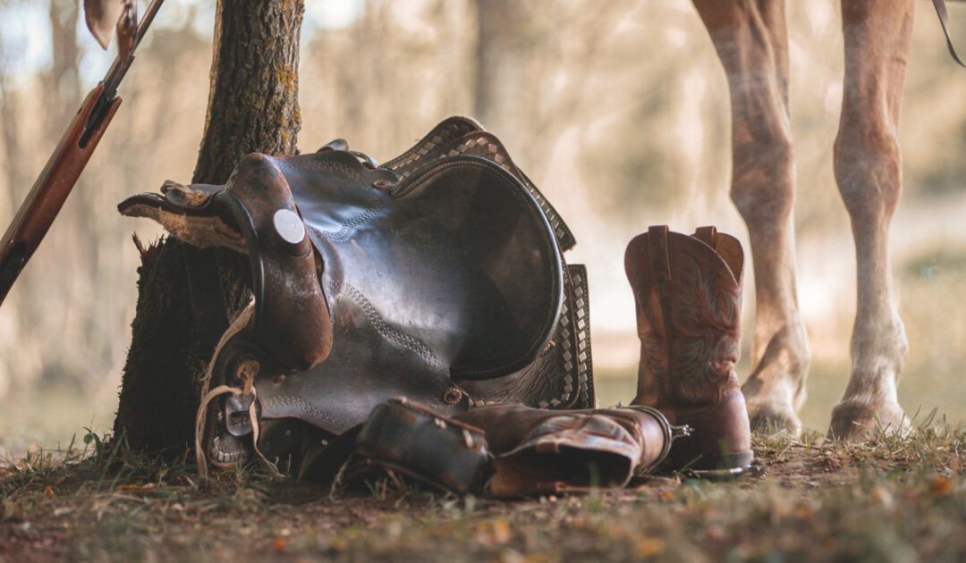 McClellan Saddle vs. Western Saddle Helpful Horse Hints