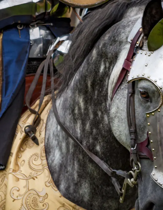 War-horse-mounted-by-a-knight