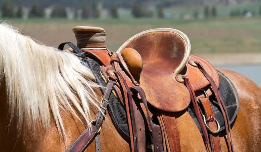 Western Saddle Pads