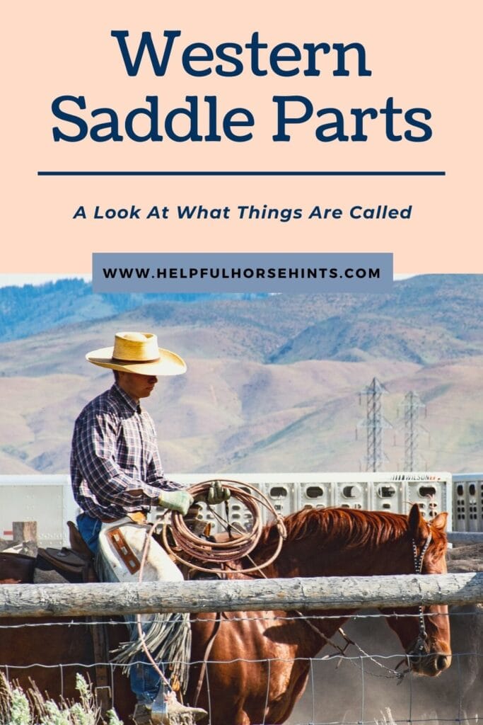 Pinterest pin - Western Saddle Parts: A Look At What Things Are Called