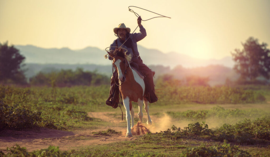 Western cowboy riding a horse holding rope in his hand