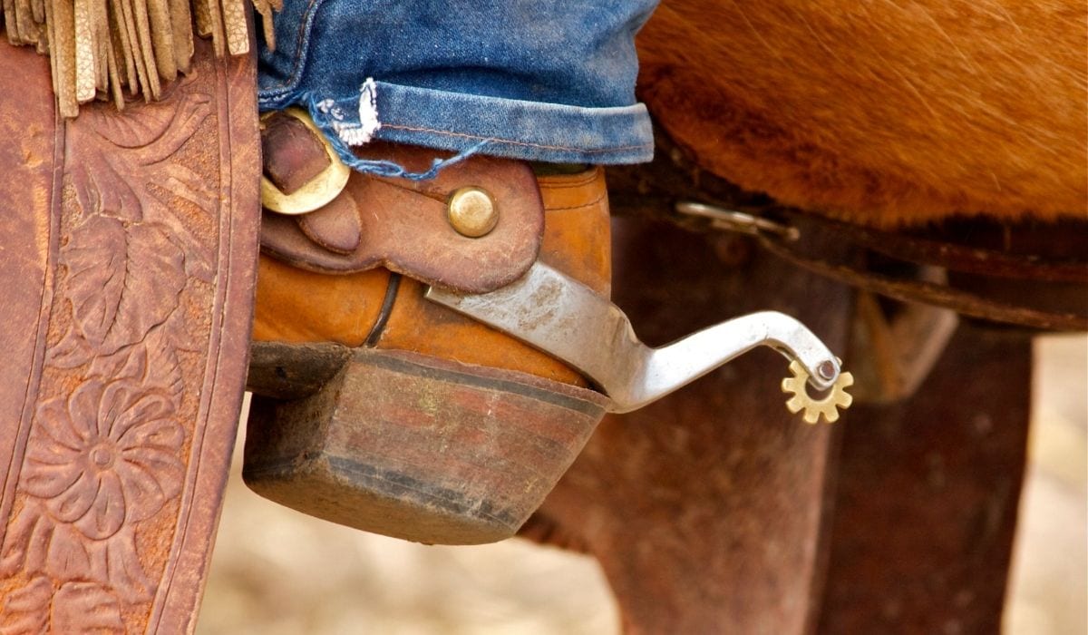 Types of Spurs and Their Uses Helpful Horse Hints