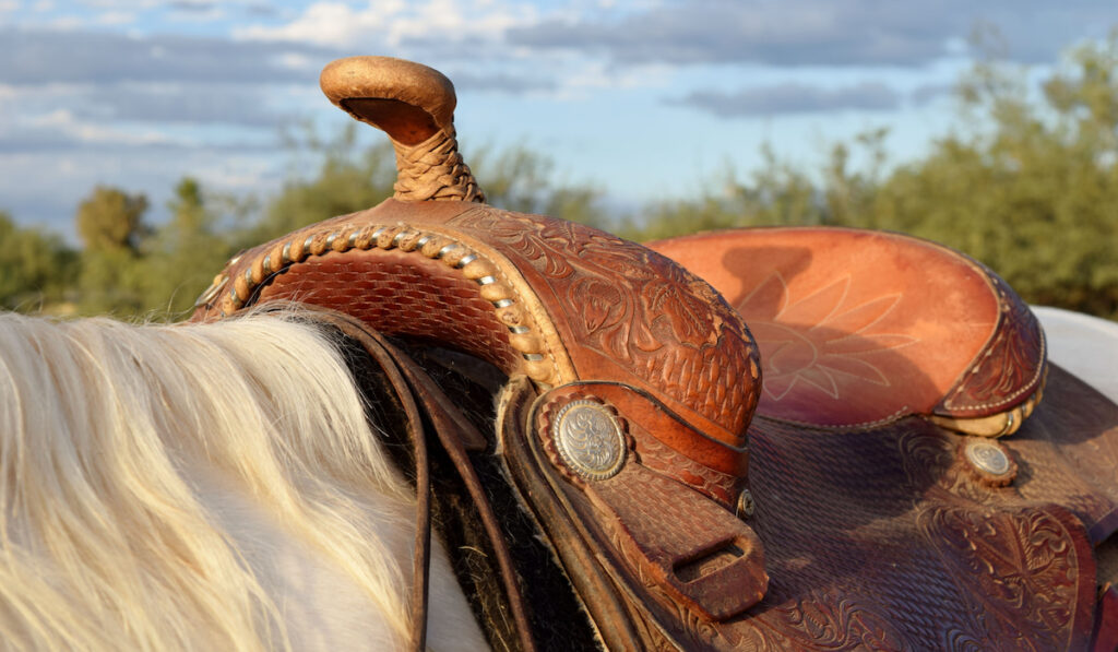 Western saddle on a Palomino and white horse
