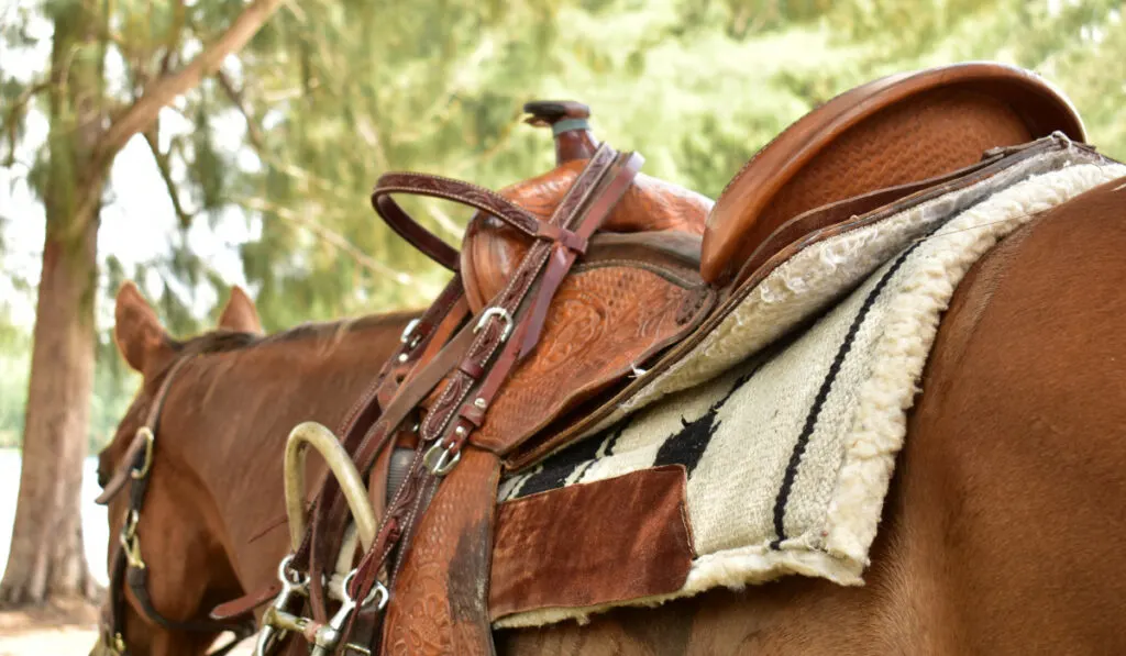 a saddle on the brown horse