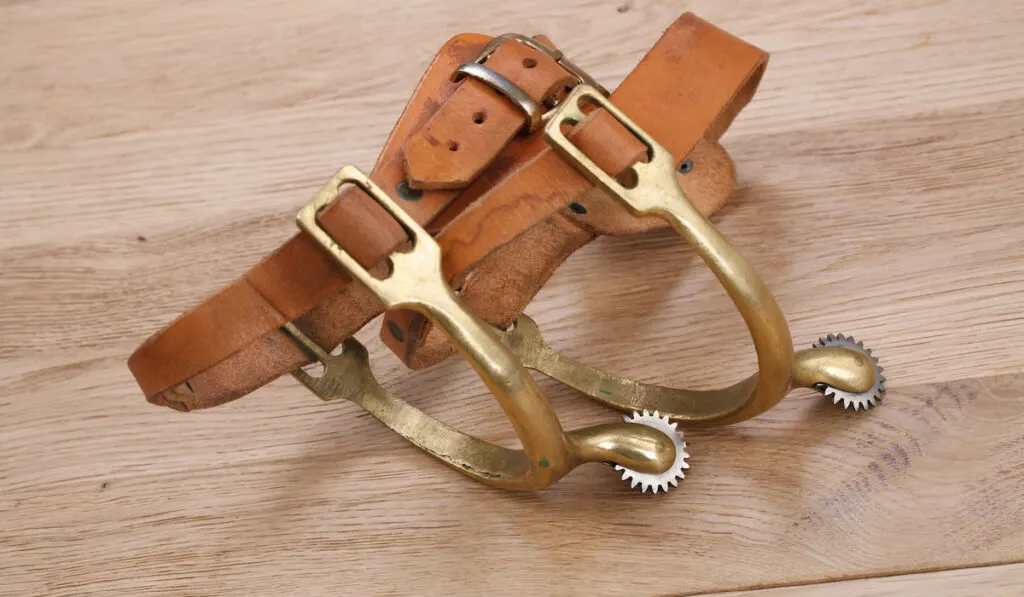 Western-style cowboy spurs with rowels on wooden background
