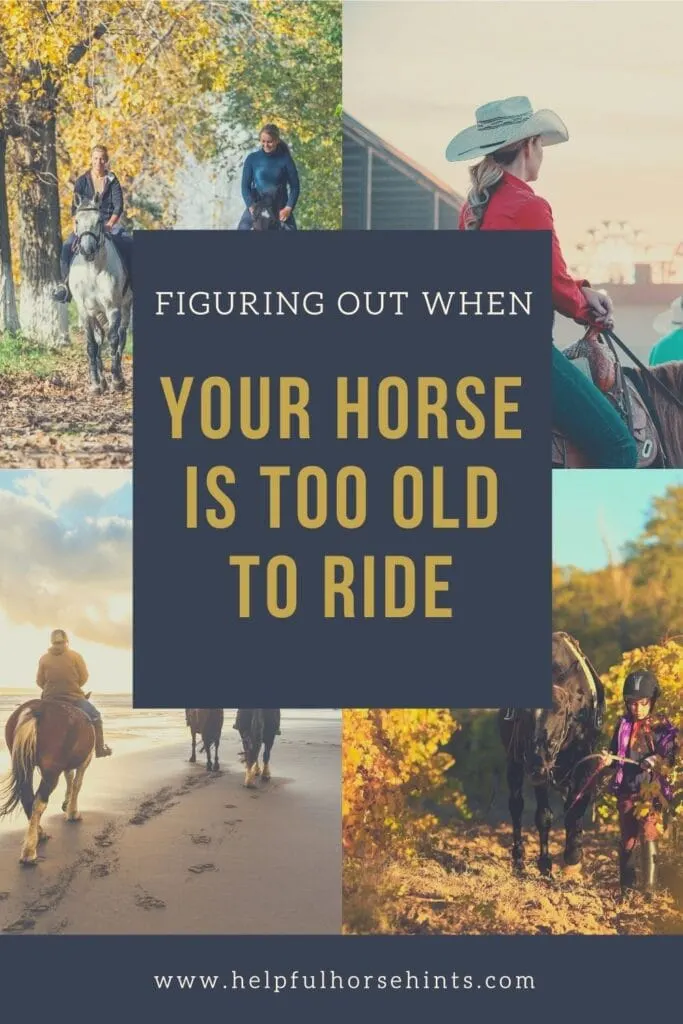 Pinterest pin - When Your Horse is Too Old To Ride
