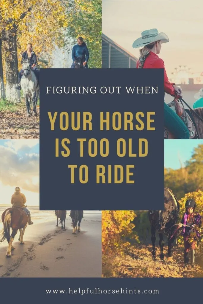 Pinterest pin - When Your Horse is Too Old To Ride