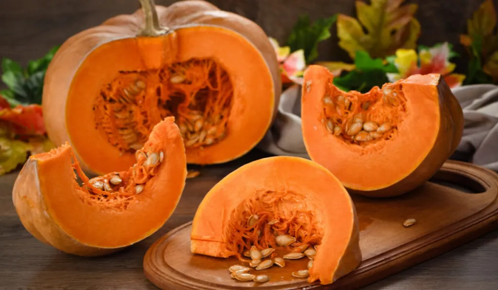 Whole fresh orange big pumpkin and slice of pumpkin on wooden board, closeup. Organic vegetable product, ingredients for cooking, healthy food vegan