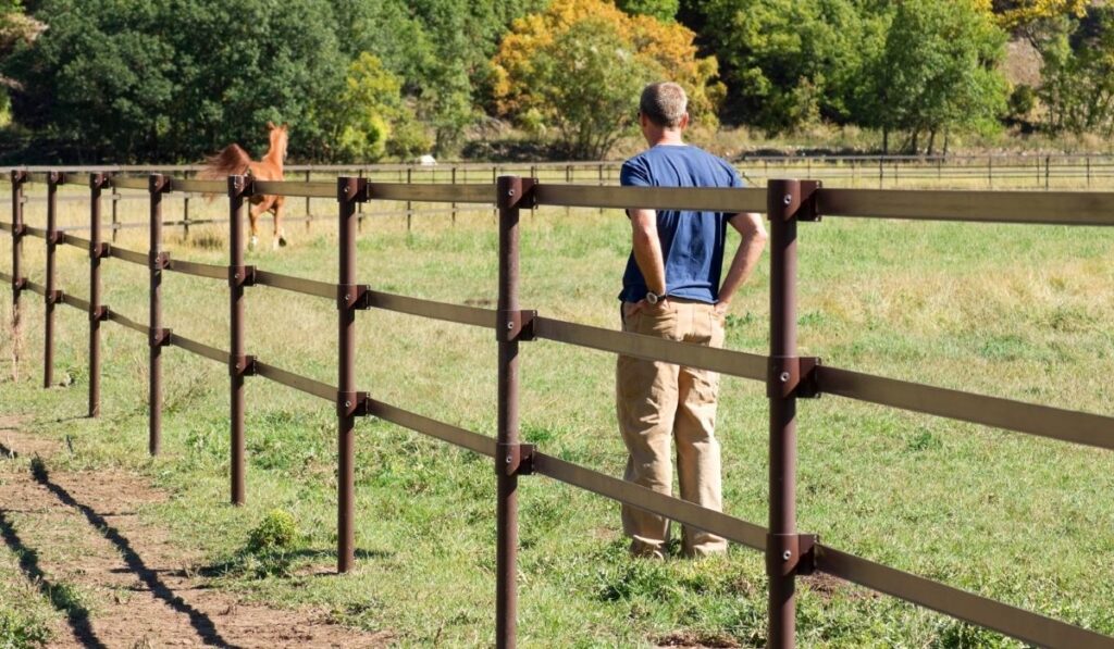 Wild horse trainer and a horse in the field