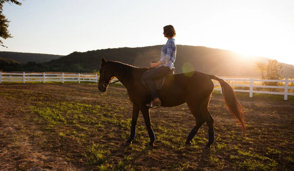 Woman and horse at the farm during sunset