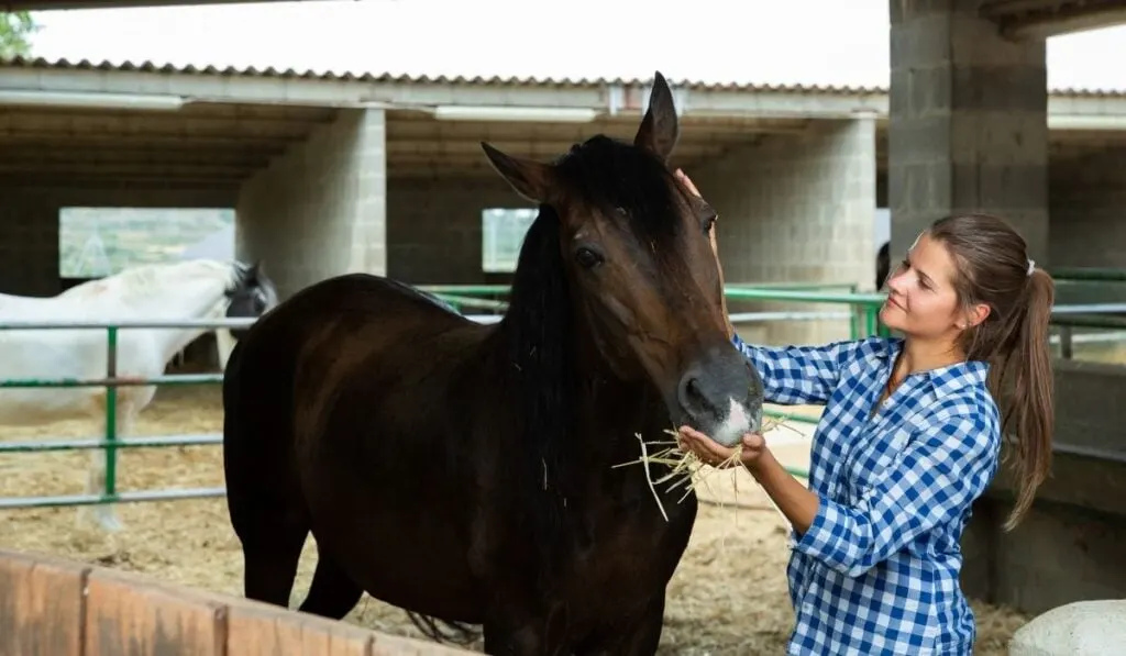Woman caring for her horse