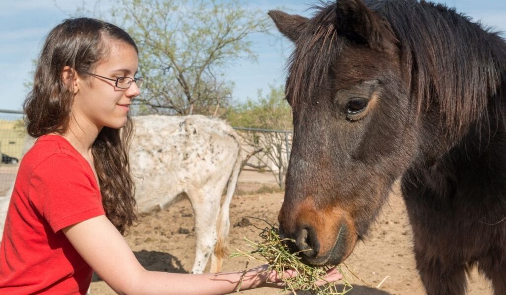 Woman feeding pony