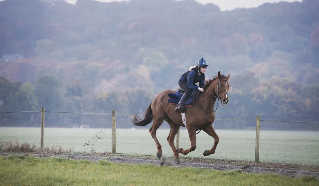 Woman galloping on a thoroughbred race horse along a path through a field