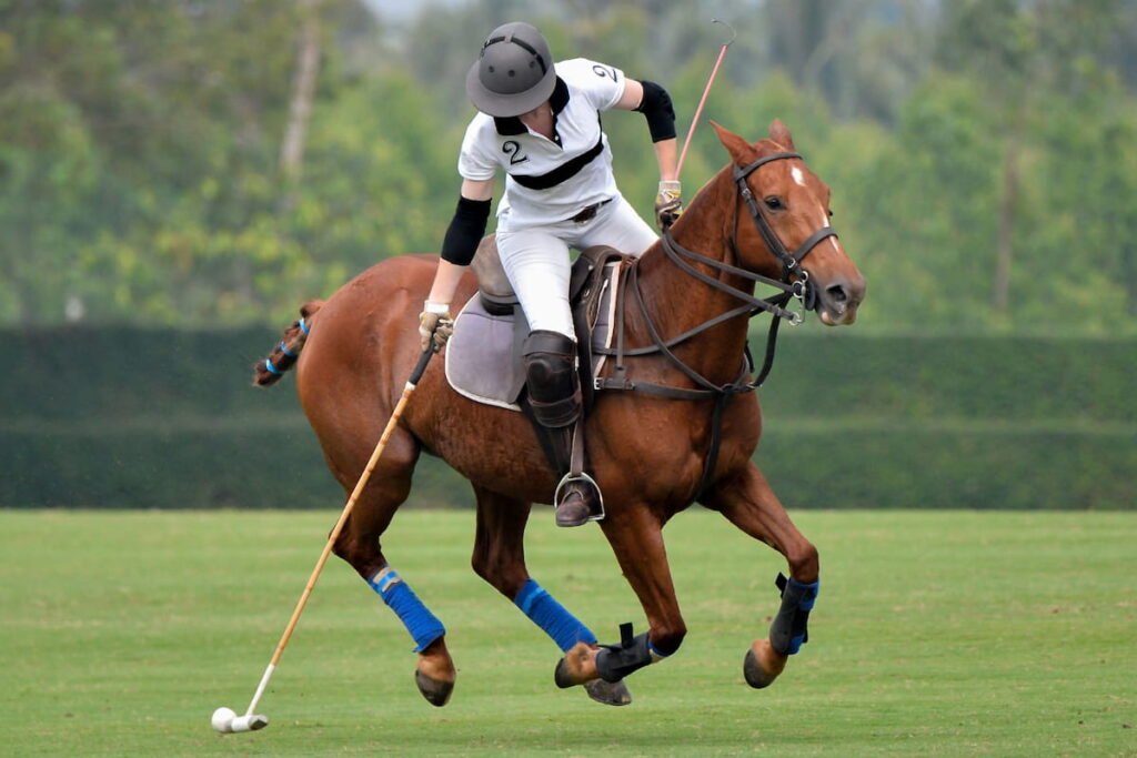 Woman horse polo player 