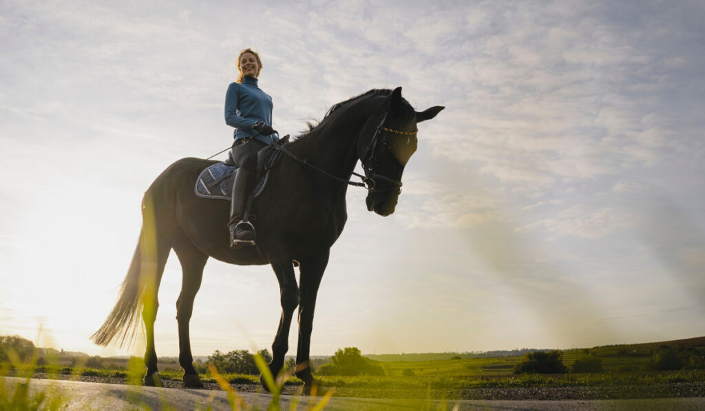 Woman on horse on a road