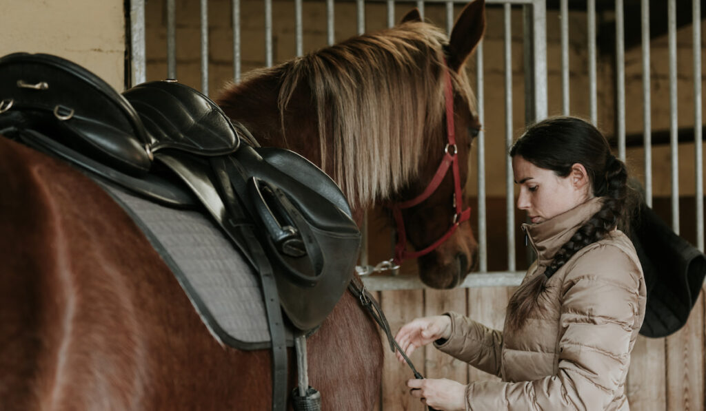 Woman putting saddle on horse