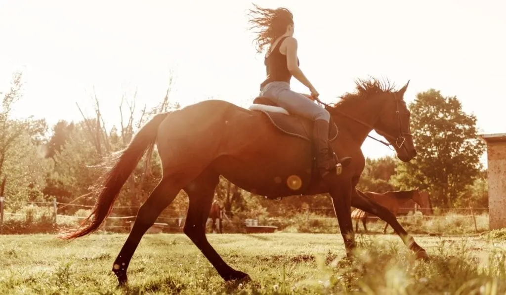 Is It Cruel to Ride Horses? - Helpful Horse Hints