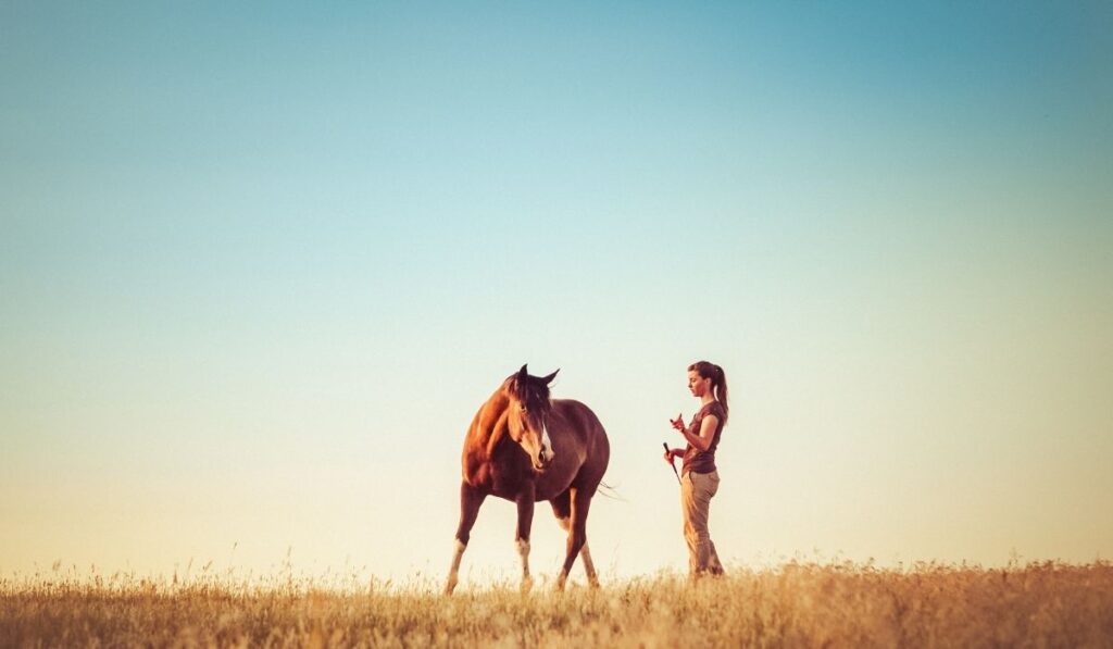 Woman training horse