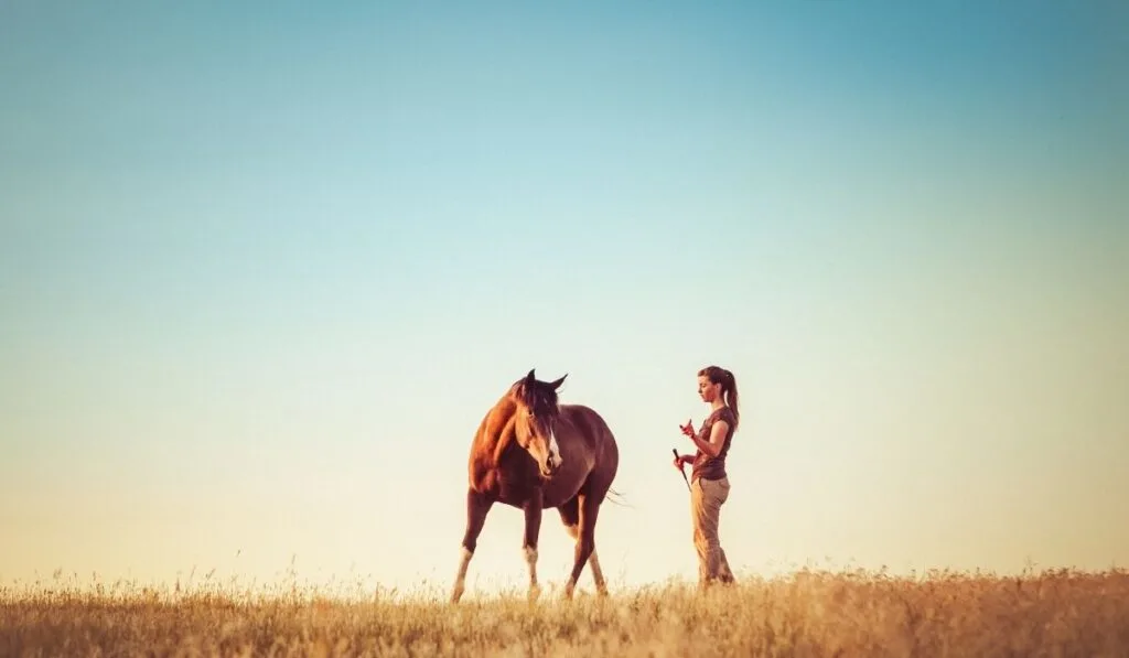 Woman training horse