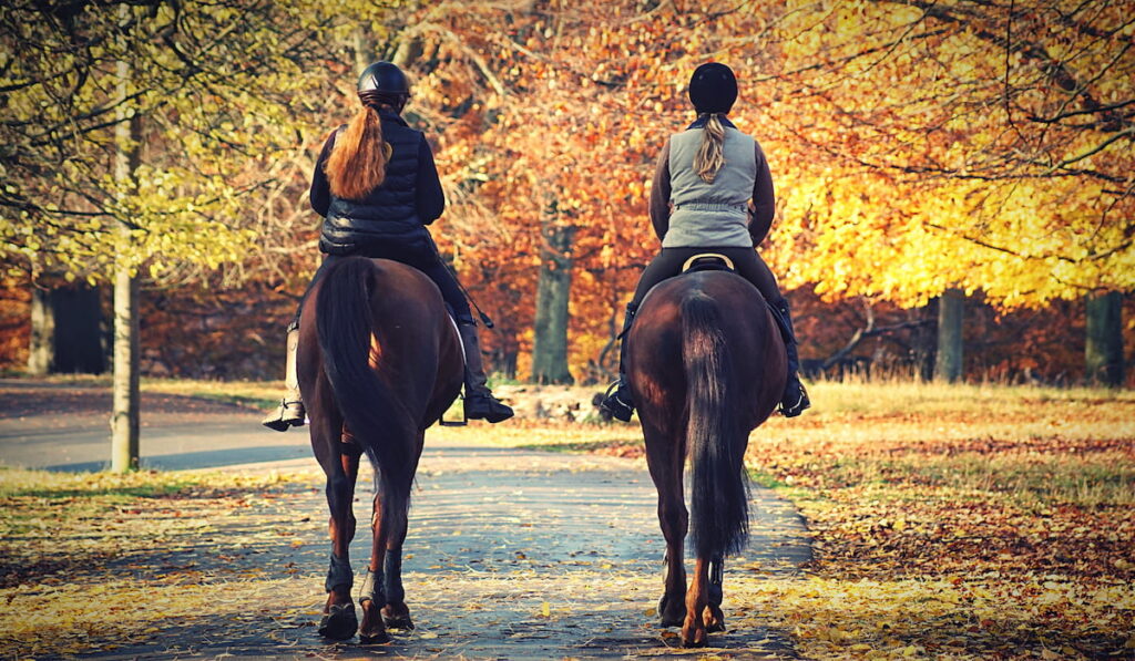 Women riding horses