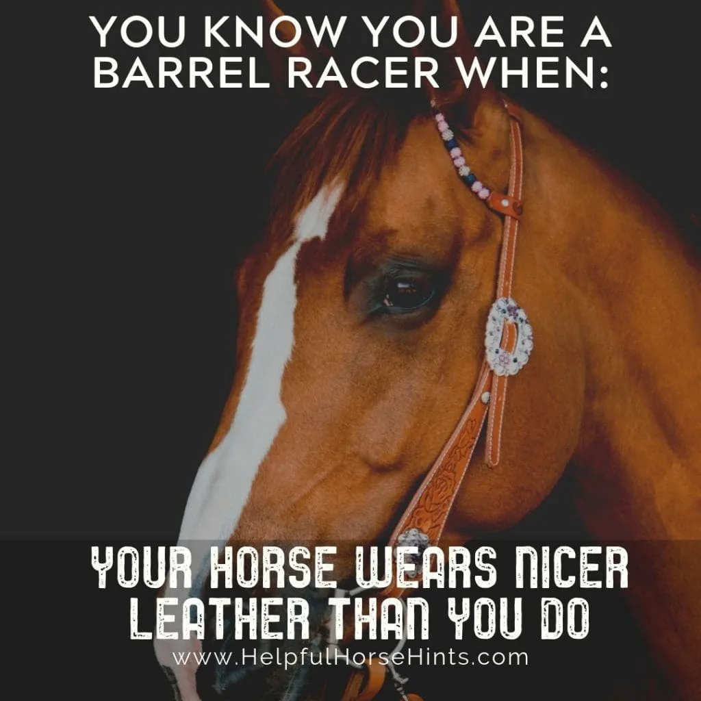 Pinterest Pin - You Know You Are A Barrel Racer When: Your Horse Wears Nicer Leather Than You Do
