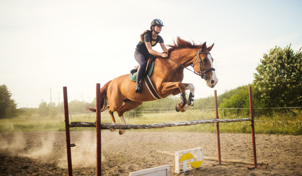 Young female jockey on horse leaping over hurdle