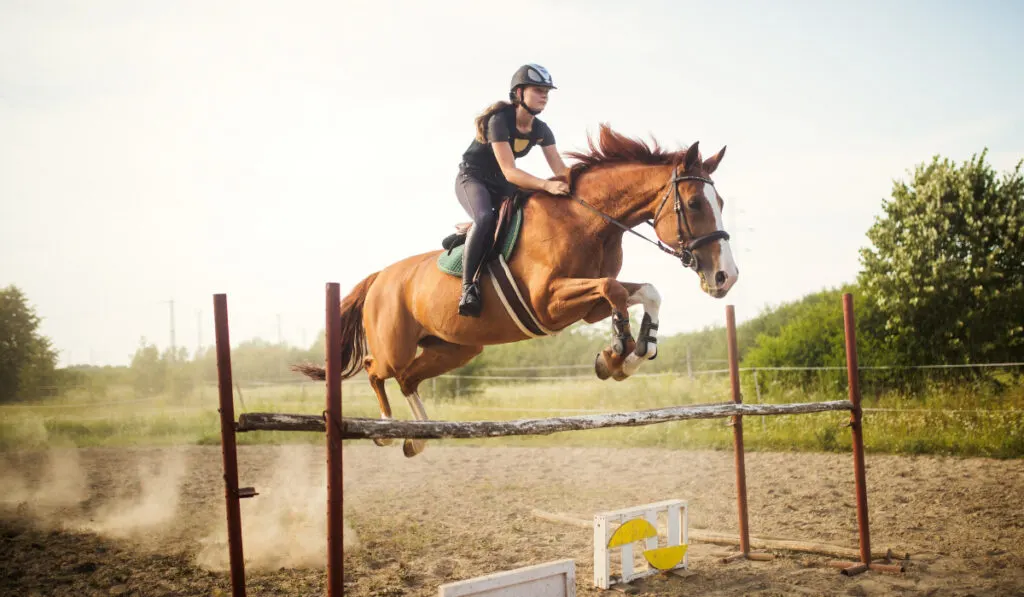 Young female jockey on horse leaping over hurdle