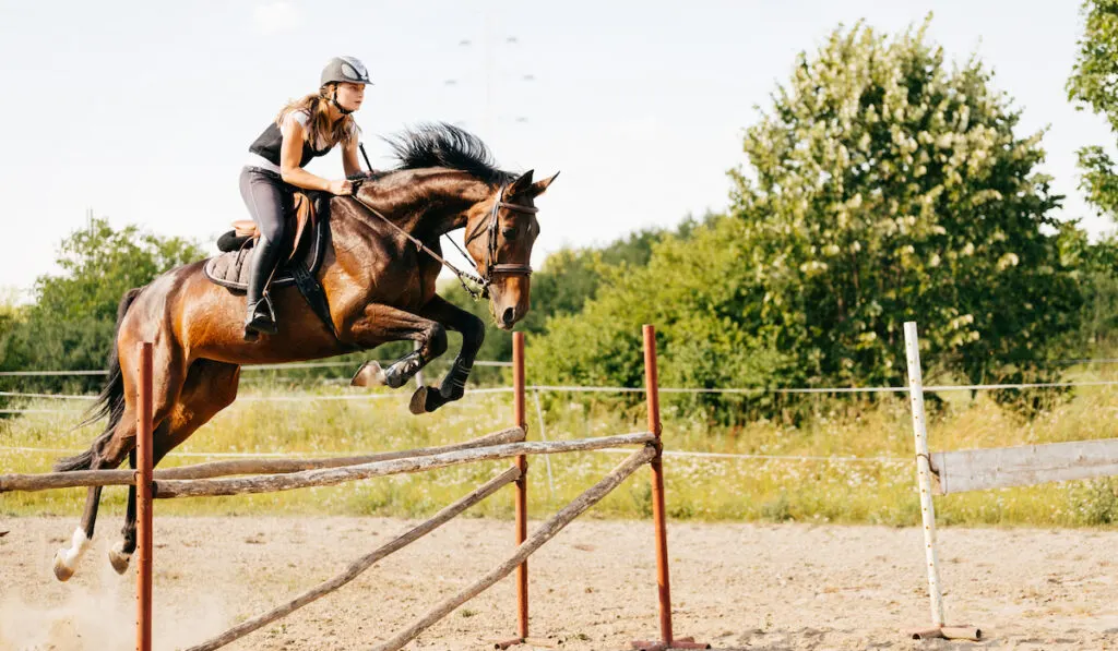 Young female jockey on horse leaping over hurdle

