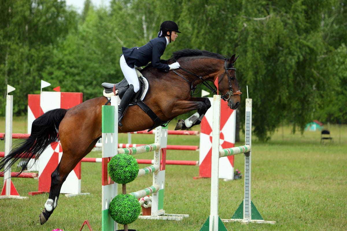 Horse Hot Walker Types, Prices, Uses & Safety Helpful Horse Hints