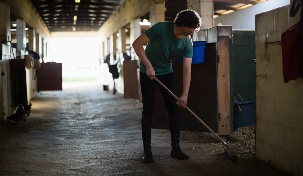 young man using broom cleaning the stable
